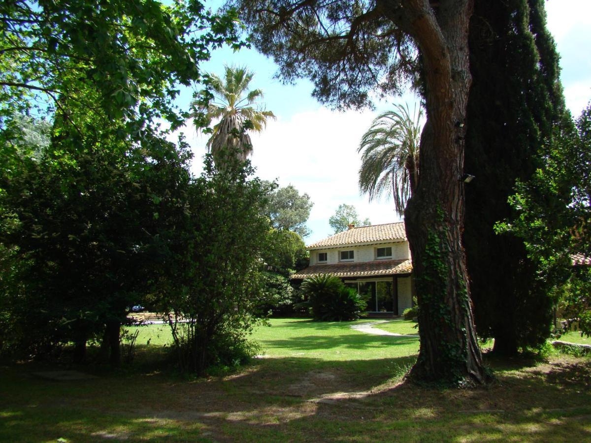 La Villa Saint Andre - Argeles Sur Mer Ngoại thất bức ảnh